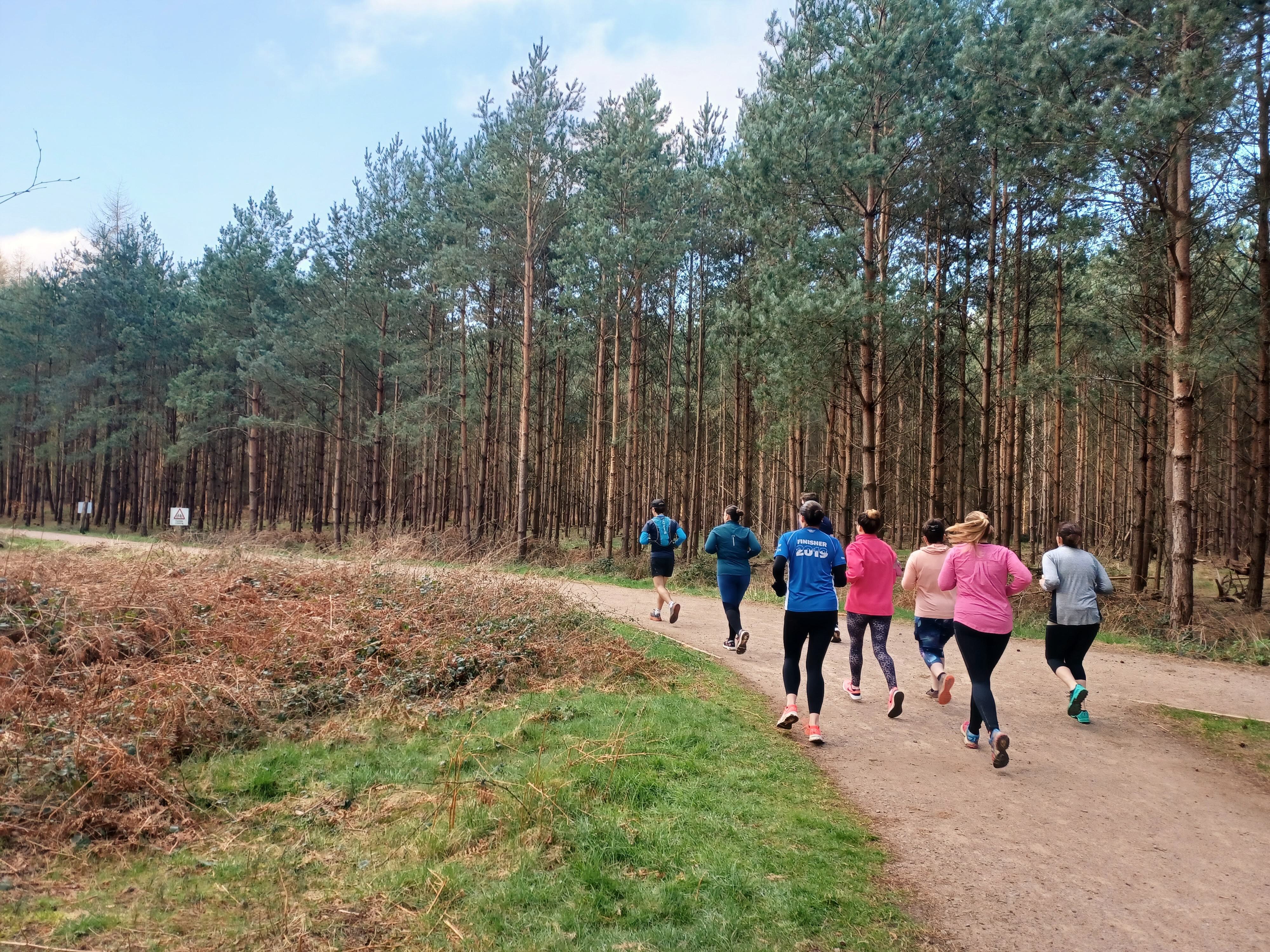 A group of people jogs along a dirt trail through a dense forest. Most are wearing colorful athletic clothing. Tall trees line the path on both sides, and the sky above is partly cloudy. Bushes and grass are visible in the foreground.