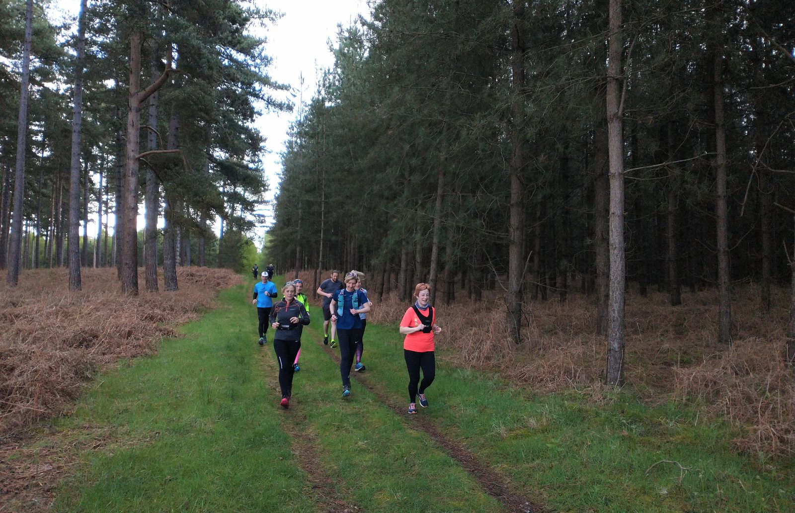 A group of people jog along a grassy path flanked by tall trees in a forest. They appear to be participating in a trail run, dressed in athletic gear, and surrounded by a mix of green grass and brown foliage under an overcast sky.