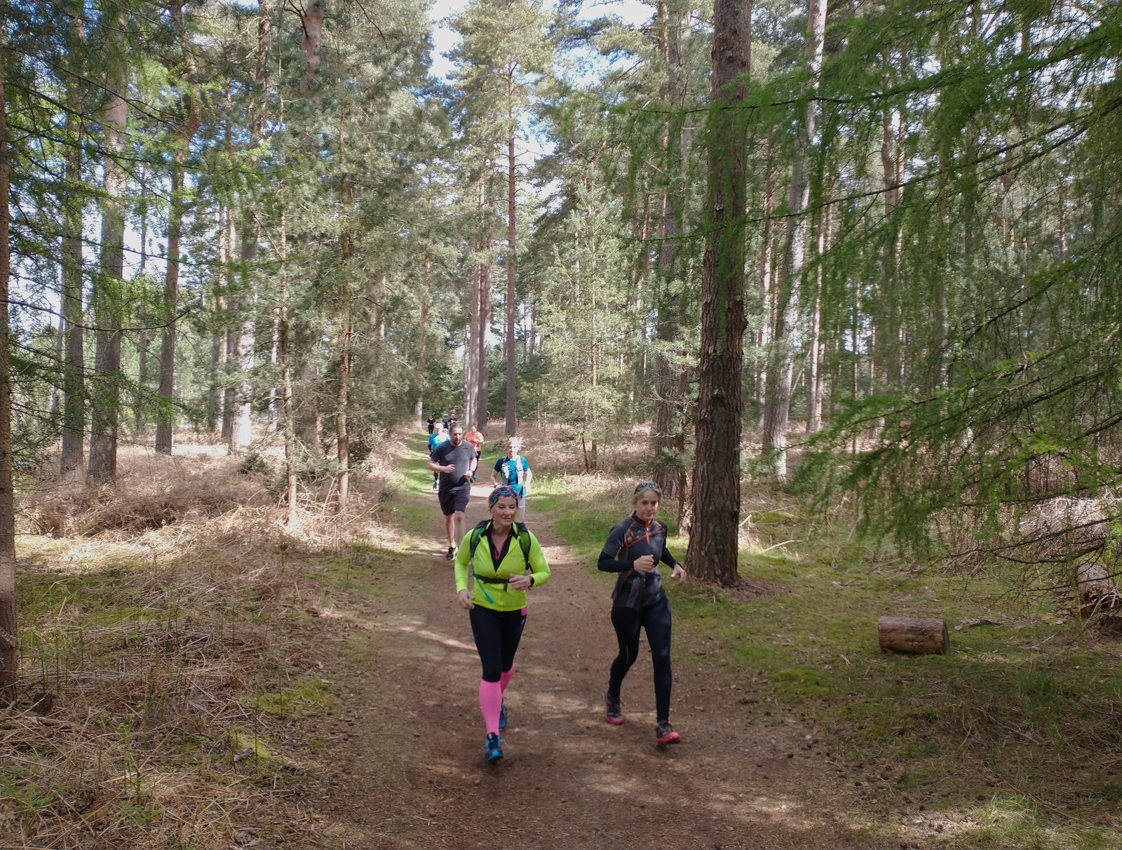 Several people are jogging on a forested trail. The trail is surrounded by tall trees and greenery. One person in the foreground wears bright yellow and pink attire, while others follow behind, also dressed in activewear. Dappled sunlight filters through the trees.