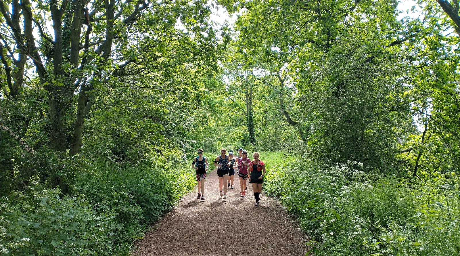 A group of people running on a tree-lined path through a lush, green forest. The sky is visible through the canopy, and sunlight filters through the leaves, illuminating the runners and the path. Vegetation and high grasses line both sides of the trail.