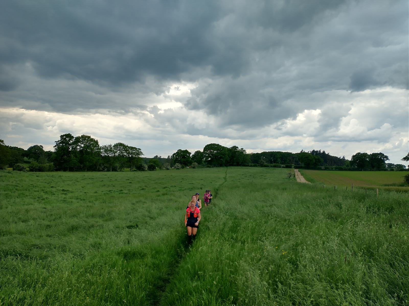 A group of hikers, wearing backpacks, walk along a narrow path through a lush, green field under a cloudy, overcast sky. The landscape around them is open and expansive, with trees dotting the horizon in the distance.