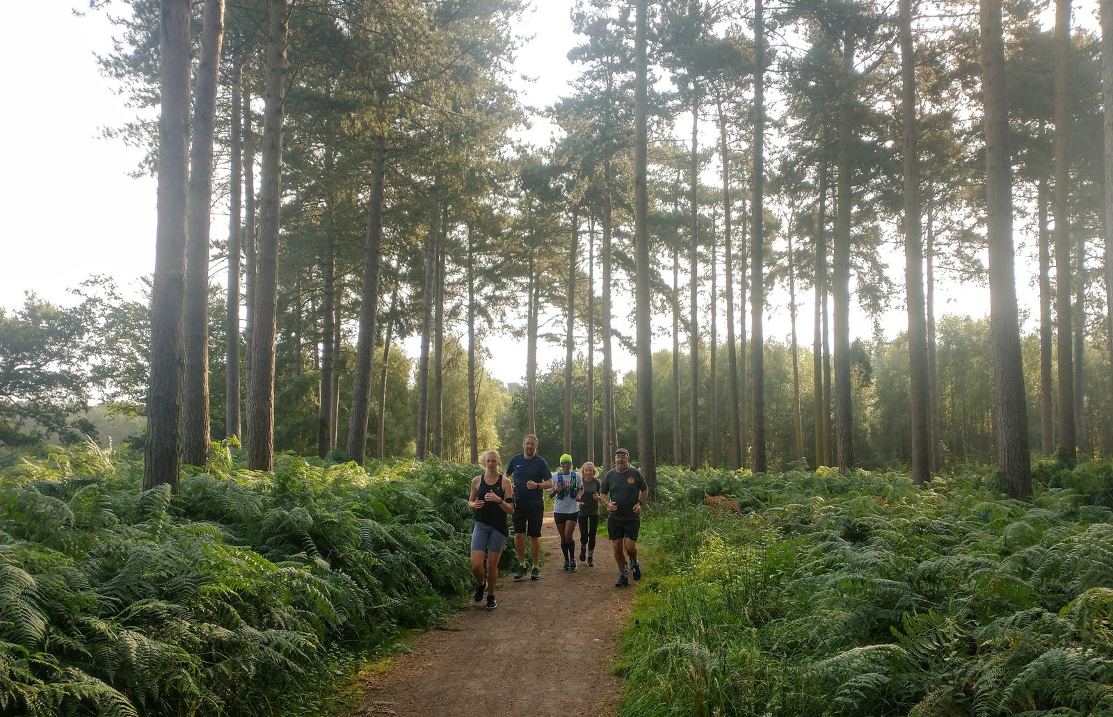 A group of people are running together on a dirt path surrounded by tall trees in a dense forest. The sun filters through the trees, casting dappled light on the lush green ferns and foliage. The atmosphere appears lively and invigorating.