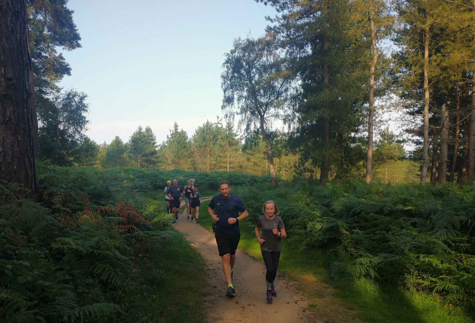 A group of people dressed in athletic wear are jogging along a dirt path through a forested area with lush green ferns and tall trees on either side. The sky is clear, indicating a pleasant day for outdoor activity.