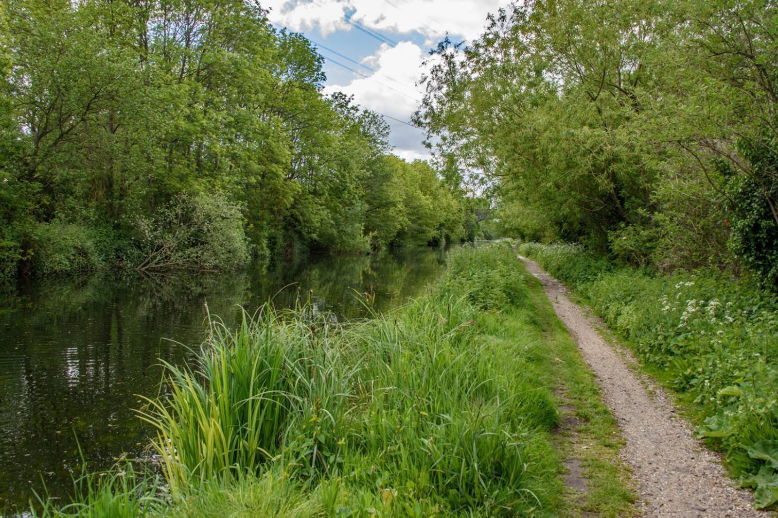 A tranquil scene of a narrow, winding dirt path running alongside a calm, reflective river. Lush green grass and tall bushes border the trail, with leafy trees arching overhead. The sky is partly cloudy, adding to the serene atmosphere.