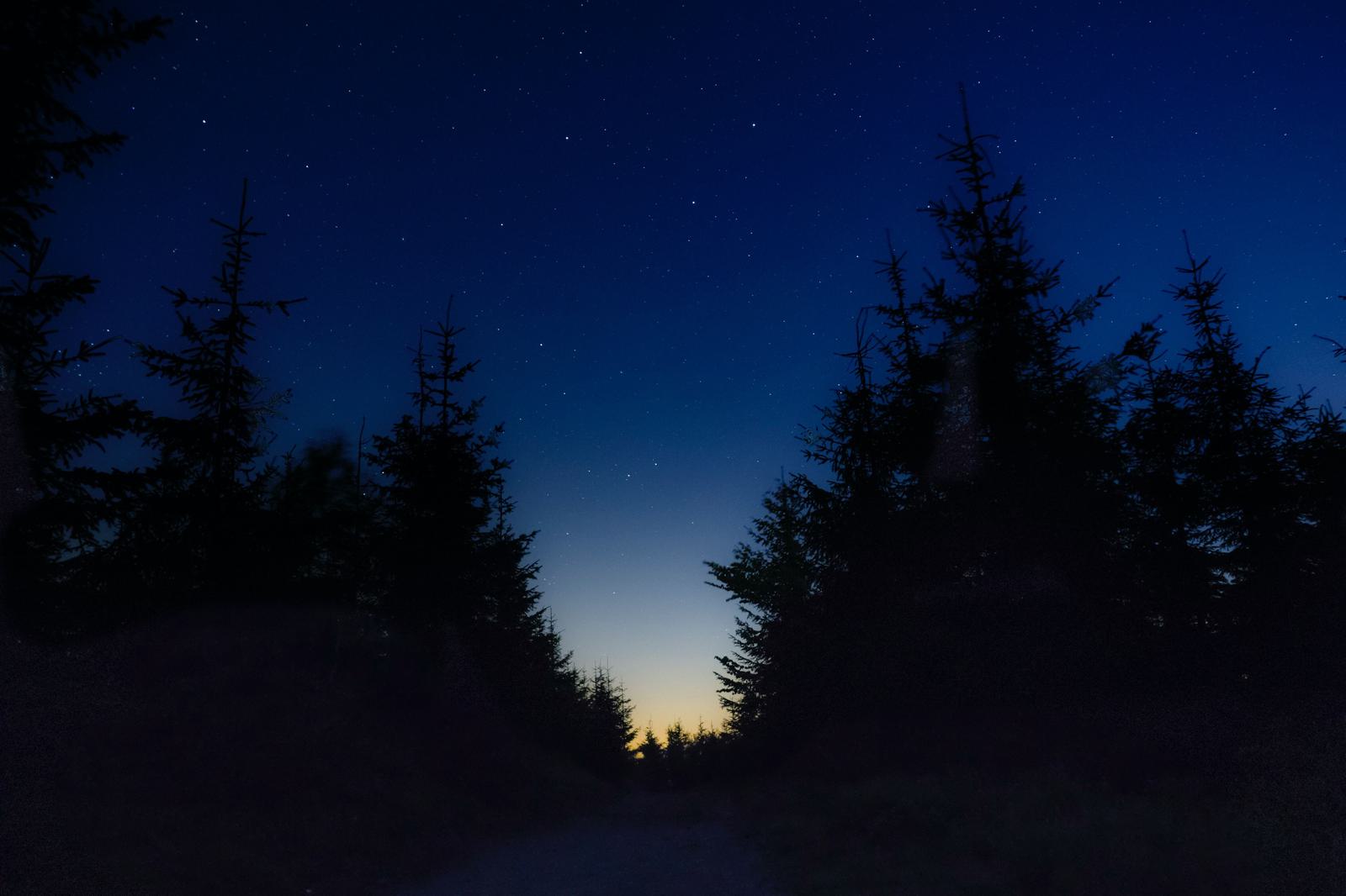 A dark forest path surrounded by tall evergreen trees leads to a distant horizon where the sky glows in shades of orange and yellow from the setting sun. The night sky above is dotted with twinkling stars.