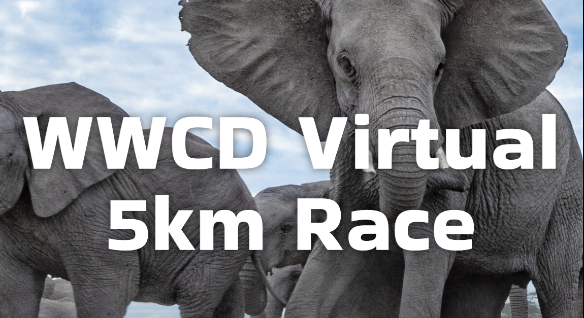 A close-up photo of a herd of elephants with the text "WWCD Virtual 5km Race" overlaid in bold white letters. The image shows the elephants against a blue sky background.