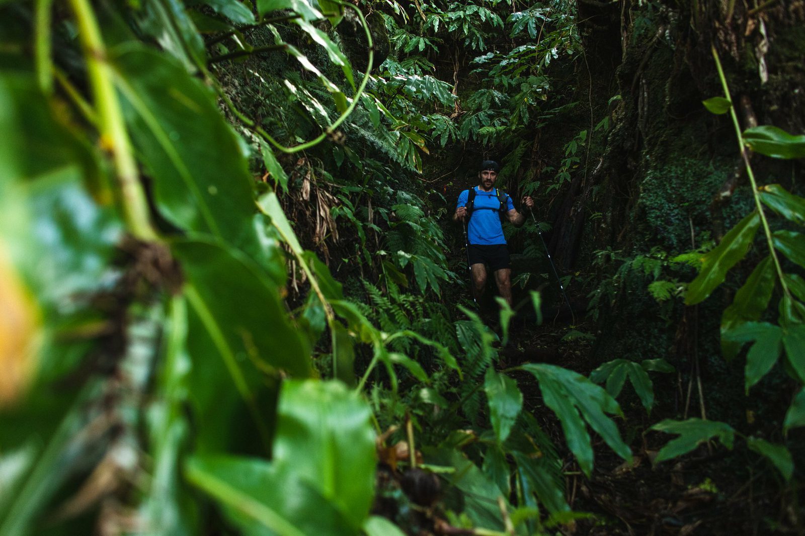 A person wearing a blue shirt and backpack is hiking through a dense, lush forest with large green leaves and vegetation surrounding them. The scene is dark and shaded, giving a sense of adventure and exploration in nature.
