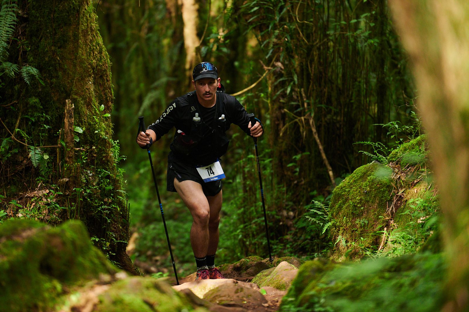 A hiker equipped with trekking poles and wearing a race bib ascends a rocky trail through a dense, lush forest. The trail is surrounded by vibrant green moss and ferns, creating a serene, natural setting. The hiker appears focused and determined.