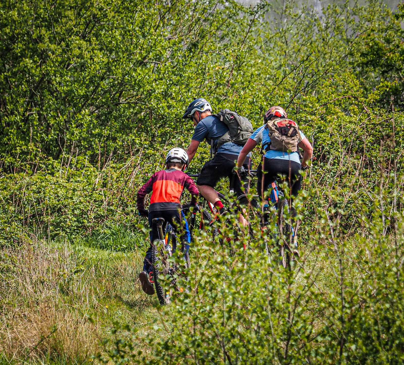 Three cyclists, two adults and one child, ride mountain bikes on a lush, green trail surrounded by foliage. The riders are wearing helmets and carrying backpacks, indicating they are on a biking adventure through the nature trail.