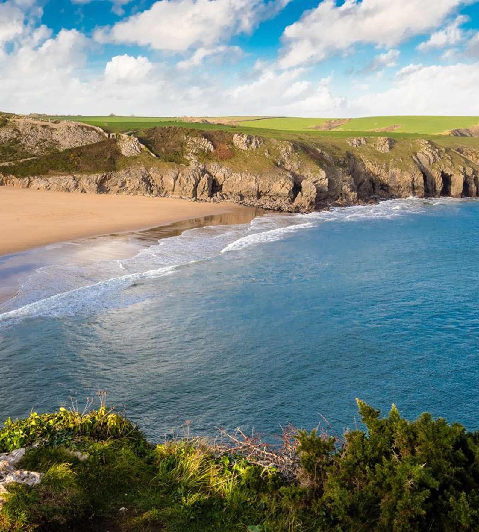 A scenic beach with golden sand is nestled between rugged cliffs. Gentle waves lap at the shore, and lush green fields extend atop the cliffs under a partly cloudy blue sky. Shrubs and grass adorn the cliffside in the foreground.