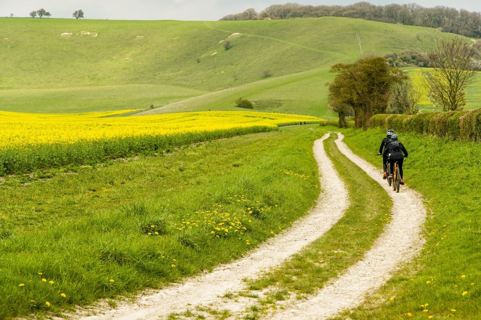 Two cyclists ride along a winding dirt path through a picturesque countryside. The landscape features lush green fields, rolling hills, and flowering plants, with a tree-lined path leading into the distance under an overcast sky.