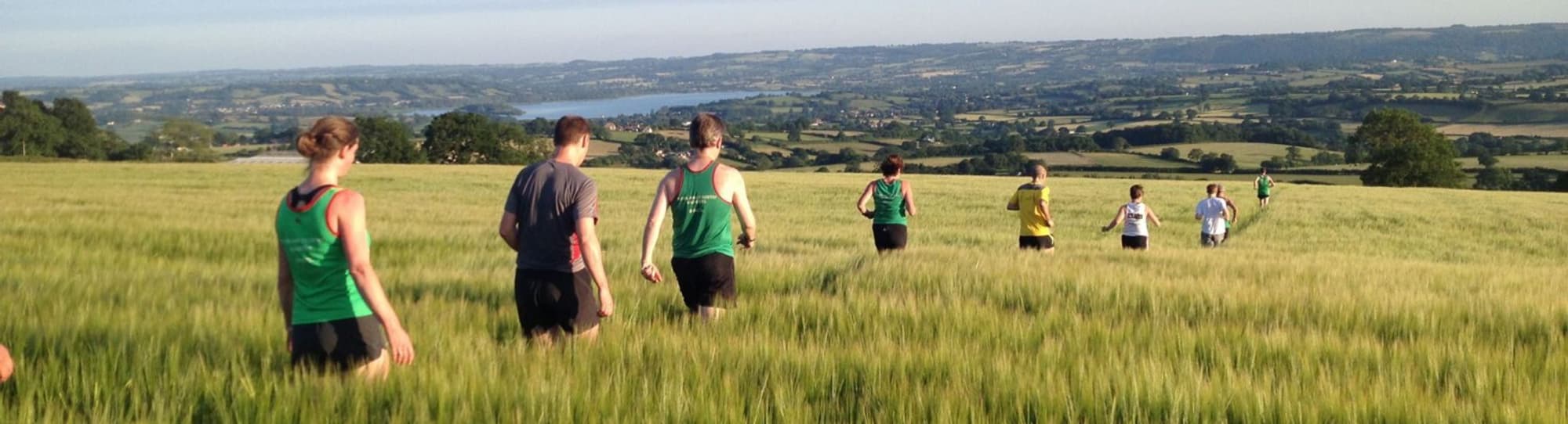 Town and Country Harriers (TACH) header image
