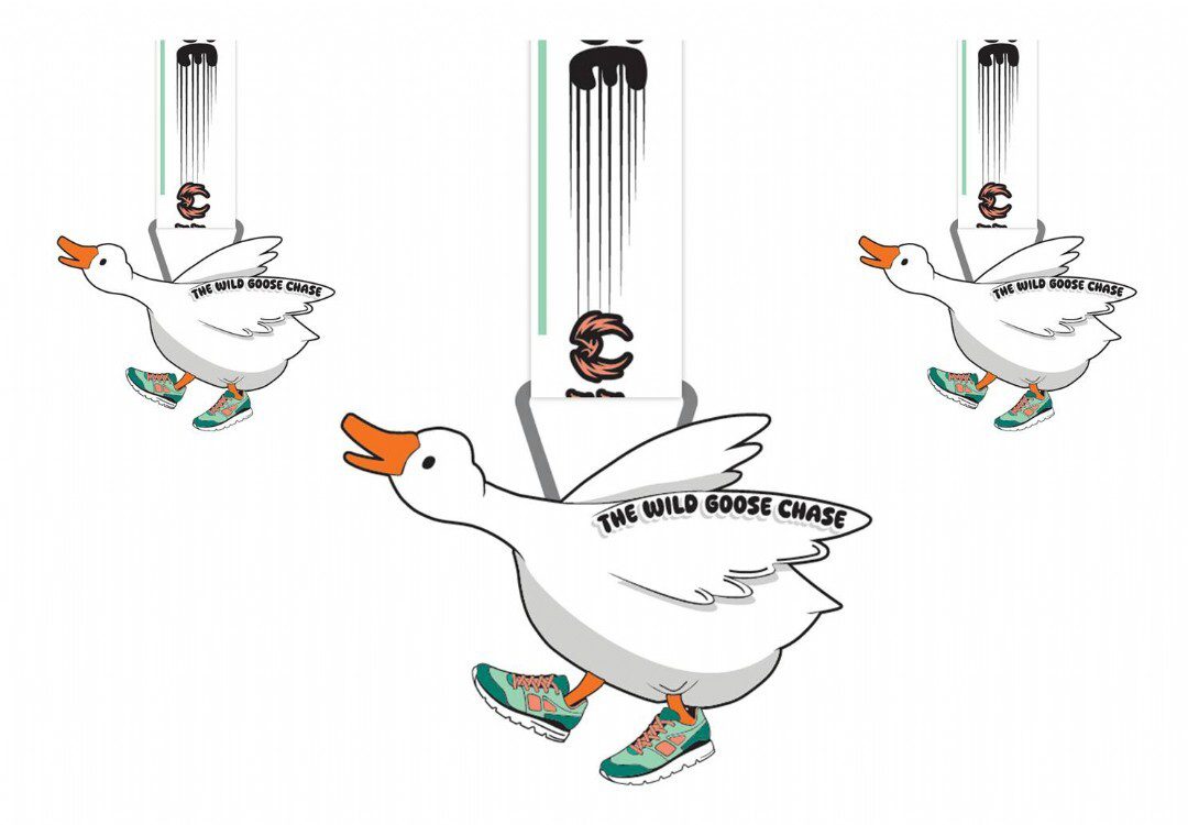 PHOENIX - Wild Goose Chase
