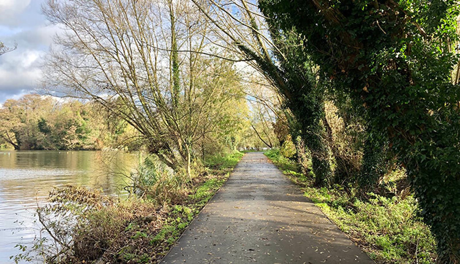A serene riverside path stretches forward, flanked by bare trees on one side and ivy-covered trees on the other. The path is wet, indicating recent rain. The river alongside reflects the partly cloudy sky, adding to the calm and peaceful atmosphere.