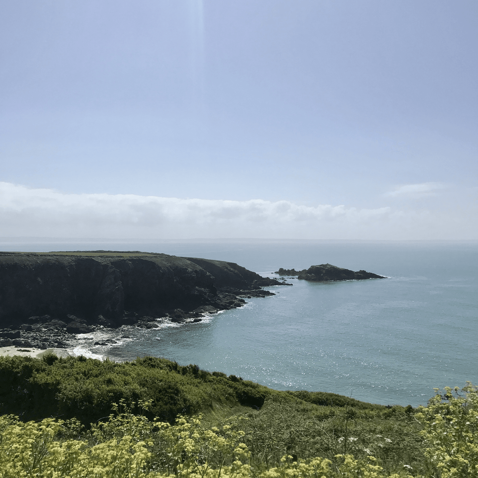 Pembrokeshire Swim Camp event image
