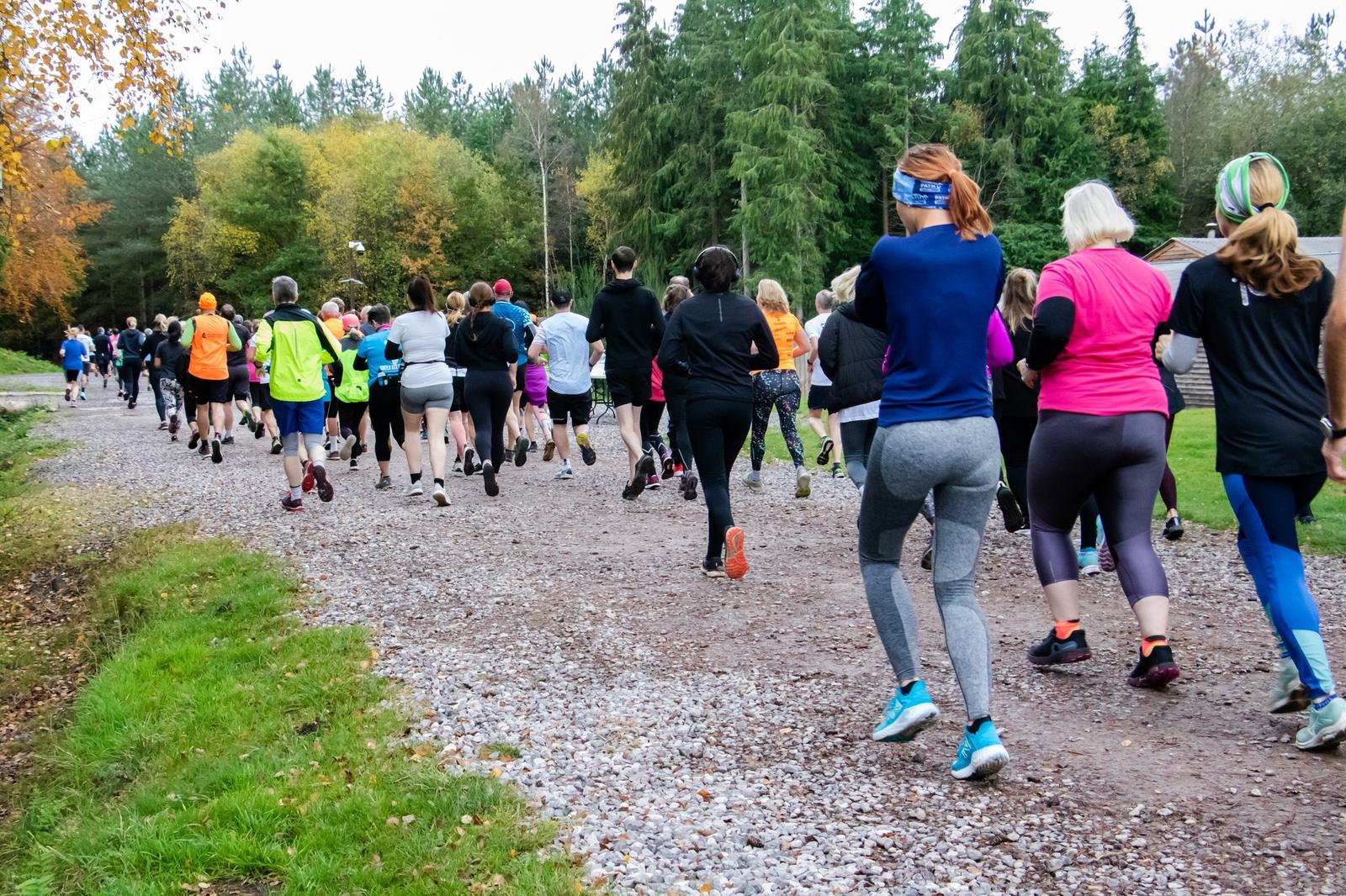 A group of people jogging on a gravel path through a park surrounded by trees in autumn. The participants are dressed in sportswear and heading in the same direction. The ground is a mix of gravel and grass.