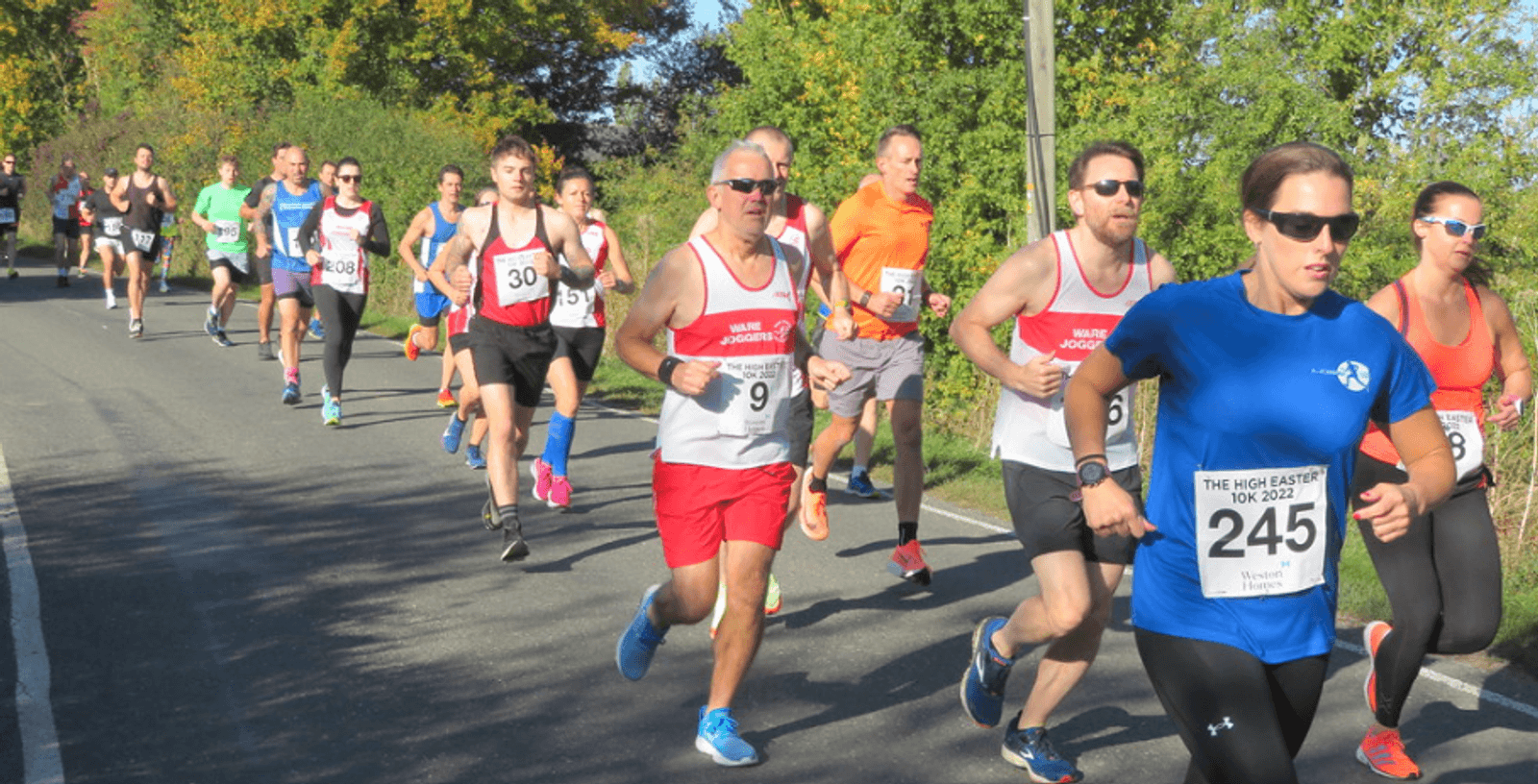 A group of runners race along a sunlit road, wearing numbered bibs and athletic gear. Trees and bushes line the road, and the sky is clear. The runner in front wears a blue shirt and sunglasses.