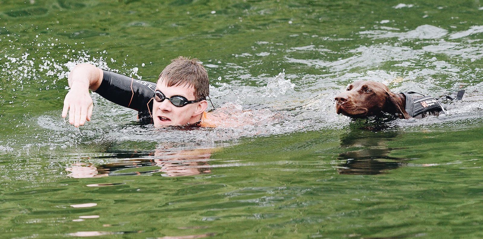 A person wearing goggles and a wetsuit is swimming in a body of water alongside a brown dog. Both the person and the dog are swimming with their heads above the water. The dog appears to be paddling beside the swimmer.