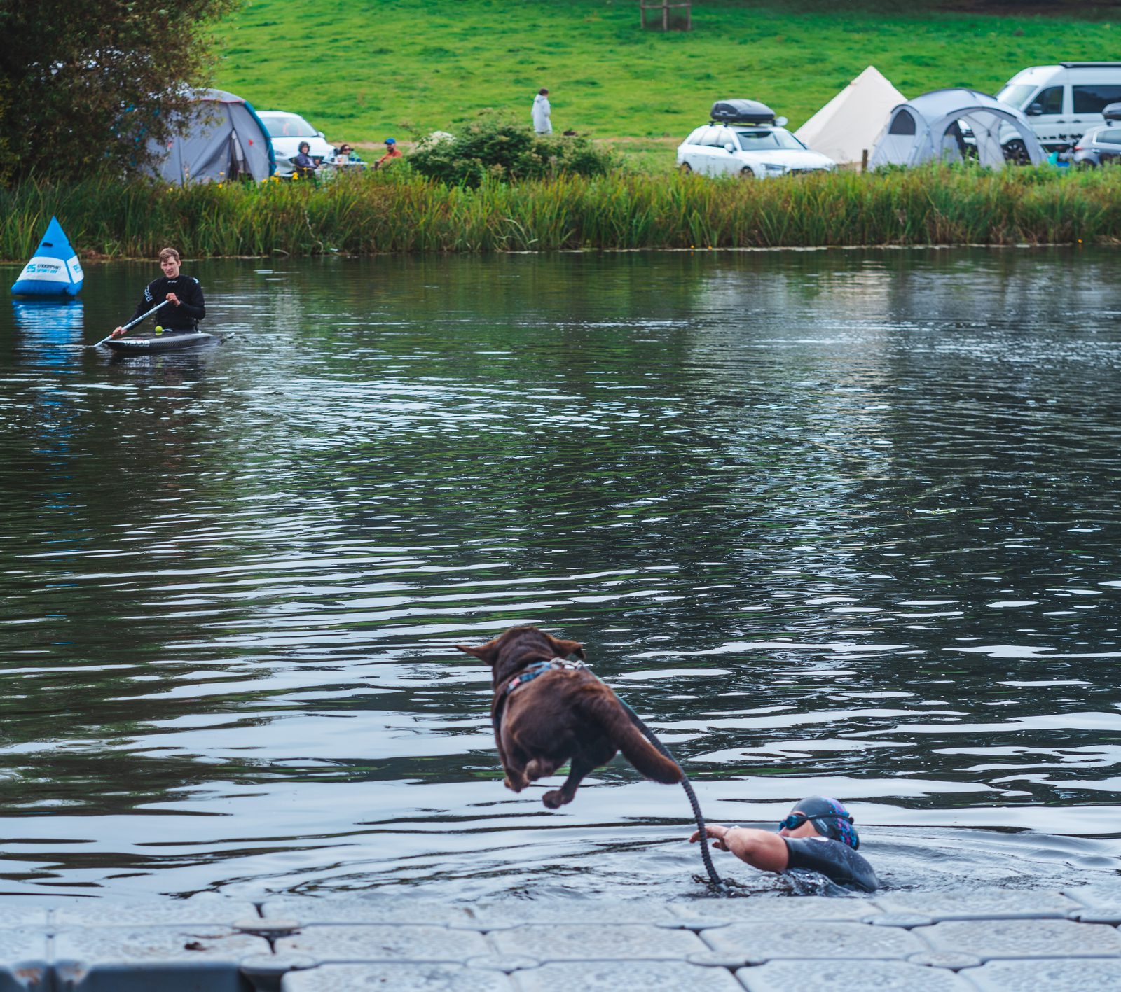 A brown dog leaps into a river from a platform, joining a person already in the water, wearing swim gear. A kayaker paddles nearby while a campsite with tents and cars is visible on the grassy shore behind them.