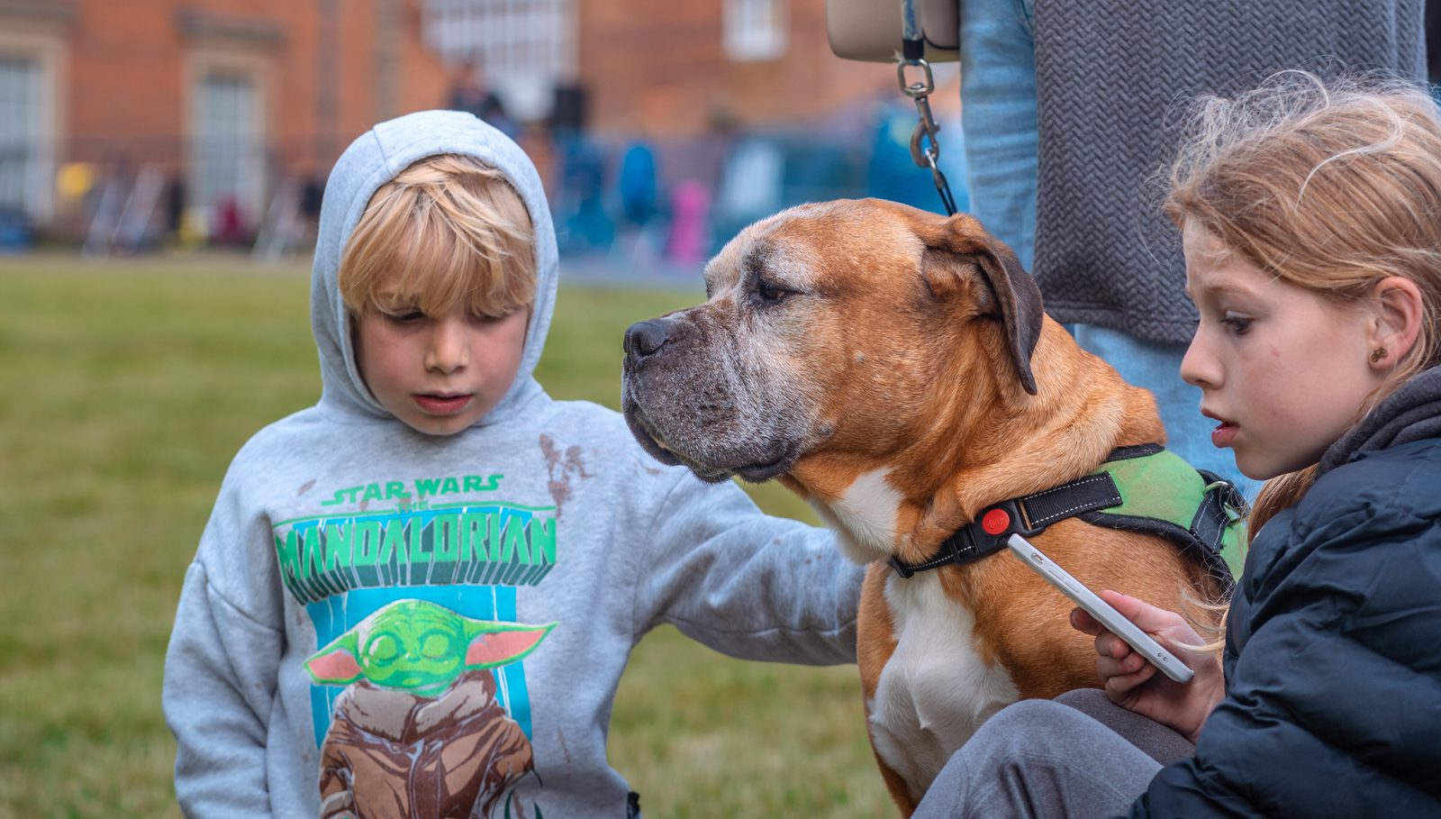 Two children are seen outdoors with a large, brown dog on a leash. One child, wearing a "Star Wars" hoodie featuring Baby Yoda, is petting the dog, while the other child holds a smartphone and looks at the dog attentively. Several buildings are visible in the background.