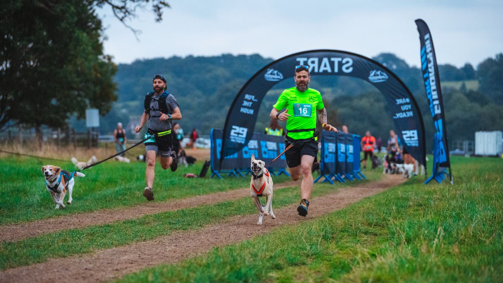 Runners with dogs participate in a race on a grassy trail. Two men in athletic gear lead, each accompanied by a leashed dog. A start banner and other participants are visible in the background amid a scenic, wooded landscape.