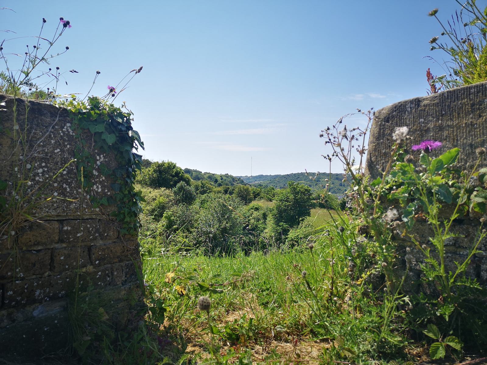 A scenic view between two stone walls overgrown with wildflowers, looking onto a lush, green landscape with rolling hills under a clear blue sky. The vibrant flora includes pink and purple blossoms, highlighting the natural beauty of the countryside.