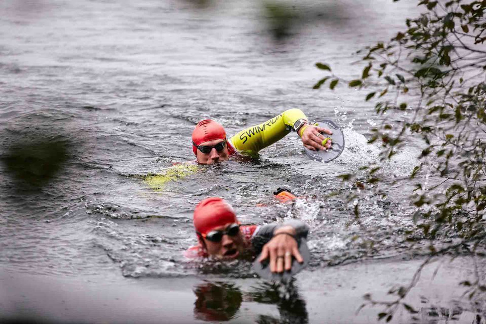 Two athletes wearing red swim caps and sports watches swim in open water, surrounded by greenery. The swimmer in front wears a yellow sleeves and is labeled "SwimRun" while both are mid-stroke splashing water as they swim forward.