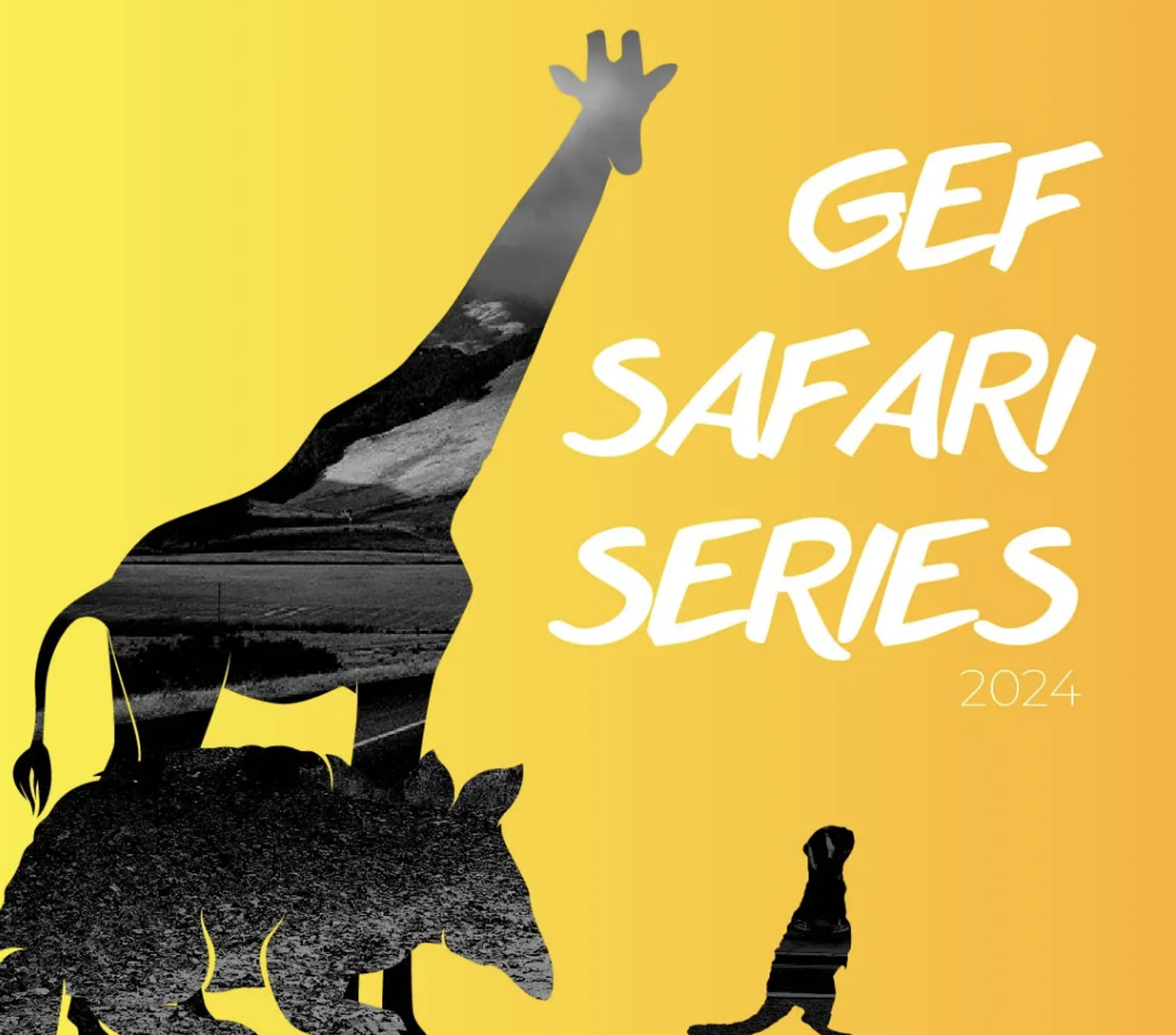Silhouettes of a giraffe, rhinoceros, and meerkat with scenic landscapes inside them are set against a gradient yellow background. Bold text reads, "GEF Safari Series 2024.