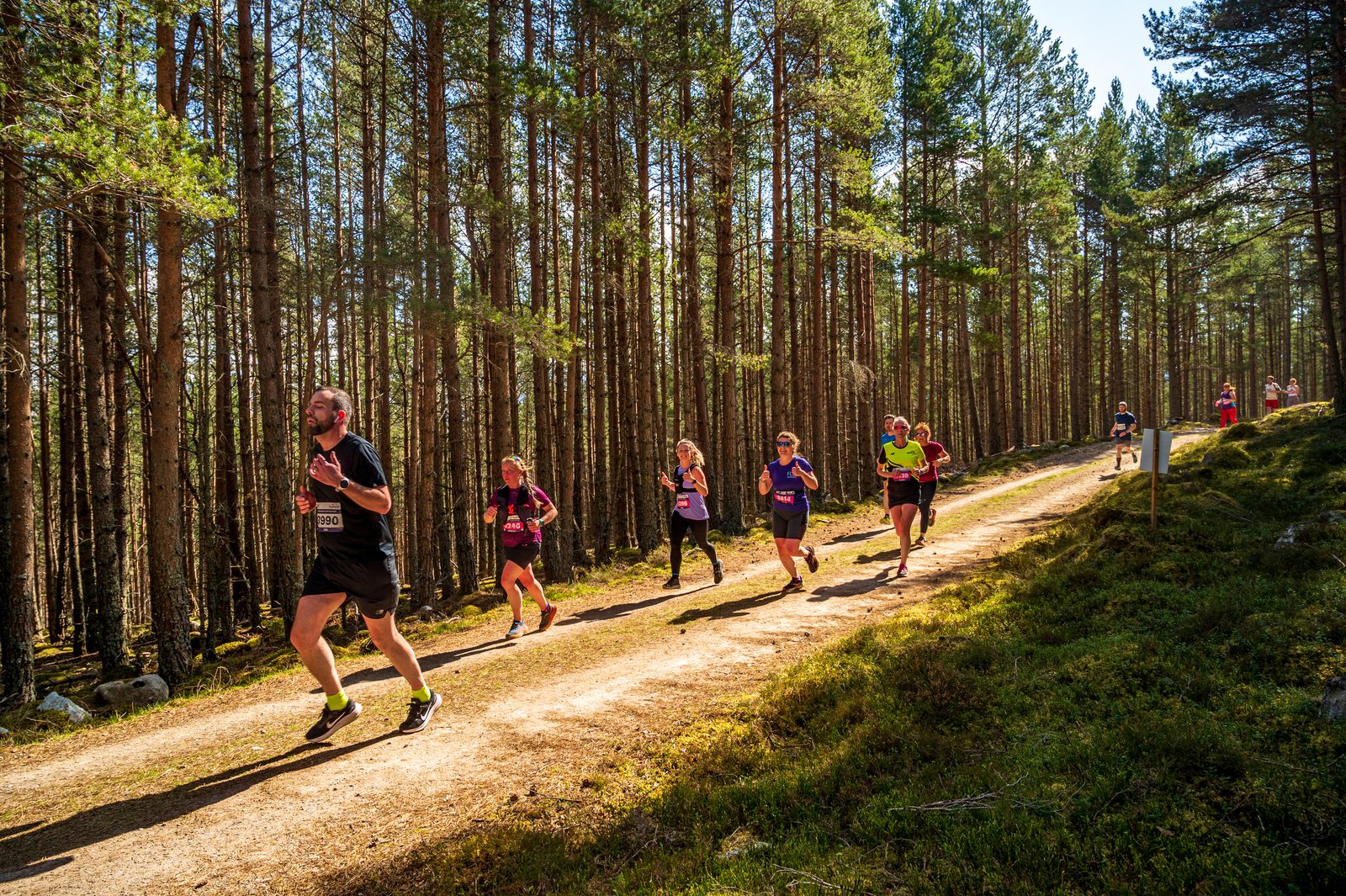 A group of people participate in a trail run through a forest with tall trees. The runners are on a dirt path, surrounded by greenery and sunlight filtering through the trees. They are dressed in athletic wear and appear to be in various stages of the race.