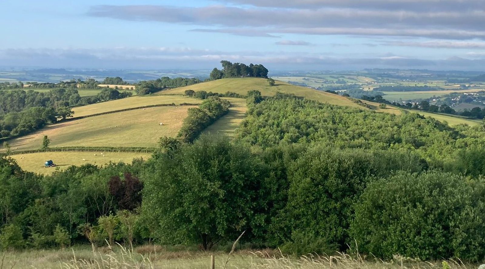 A scenic view of rolling hills in the countryside, with a blend of lush green trees and open fields. A cluster of trees crowns a hill in the center, stretching towards the horizon. The sky above is partly cloudy, with soft light creating a serene and peaceful atmosphere.