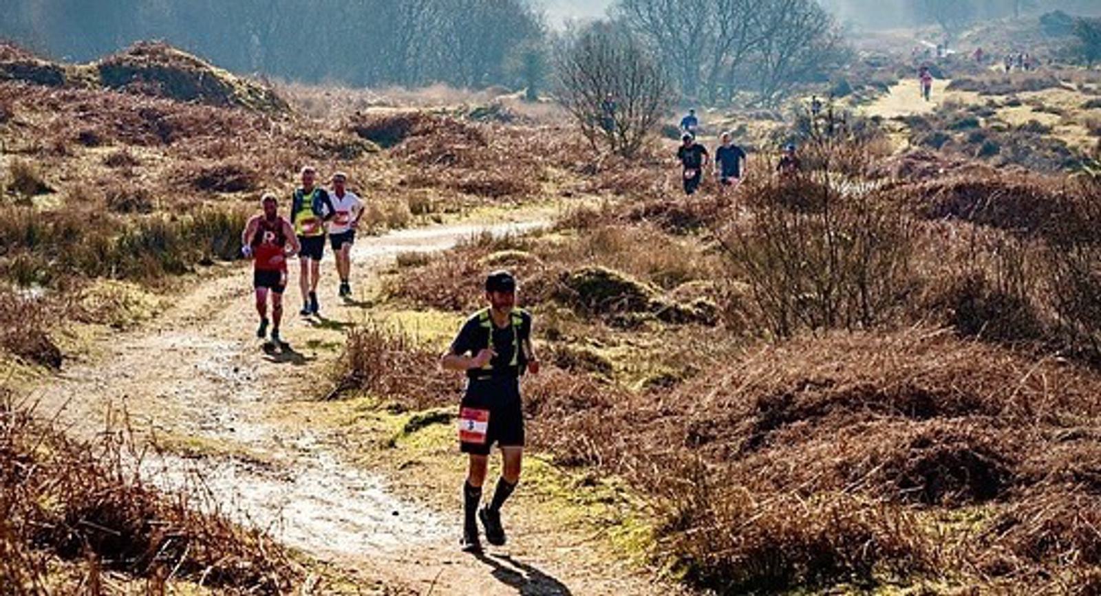 Runners participate in a trail race on a sunny day, traversing a winding path through a hilly, shrub-covered landscape. There are several runners visible, with some wearing race bibs, scattered along the path against a backdrop of dry vegetation and gentle slopes.