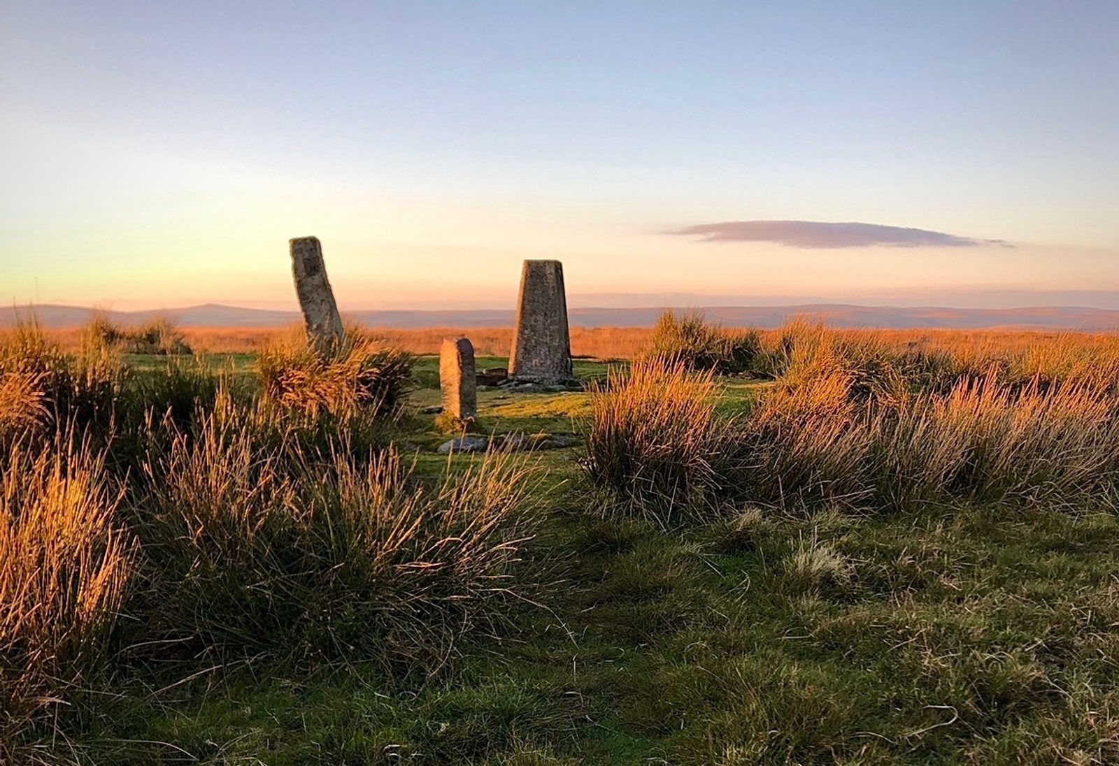 A grassy landscape at sunset features several ancient stone markers standing upright. The stones are surrounded by tall, golden-hued grasses, and a soft, pastel-colored sky creates a serene atmosphere. In the background, distant hills are faintly visible.