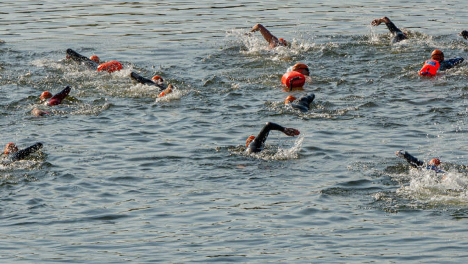 A group of swimmers in wetsuits and orange swim caps are participating in an open water race, creating splashes as they move through the water. The action takes place in a large body of water under natural light.