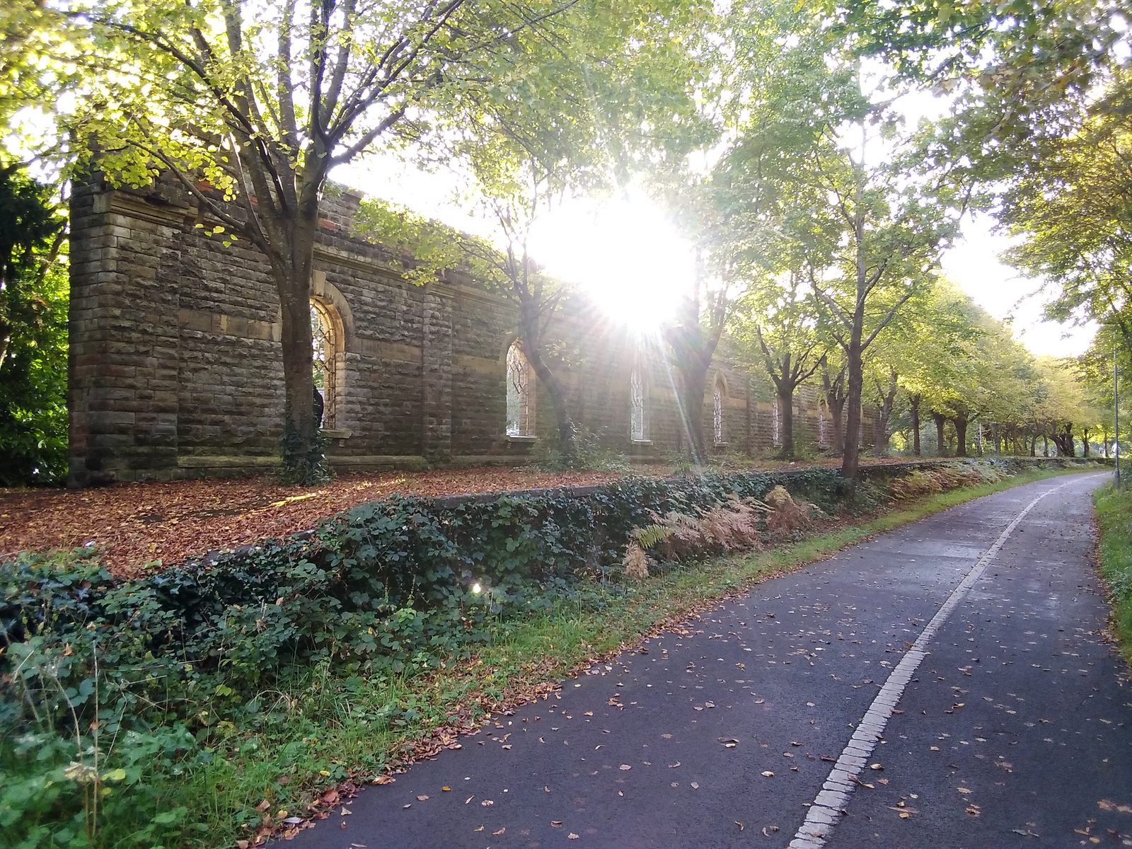 A sunlit pathway winds beside a historic stone building with tall, arched windows, partially obscured by trees with green and yellowing leaves. The ground is covered in fallen leaves and greenery, evoking a serene autumn ambiance.
