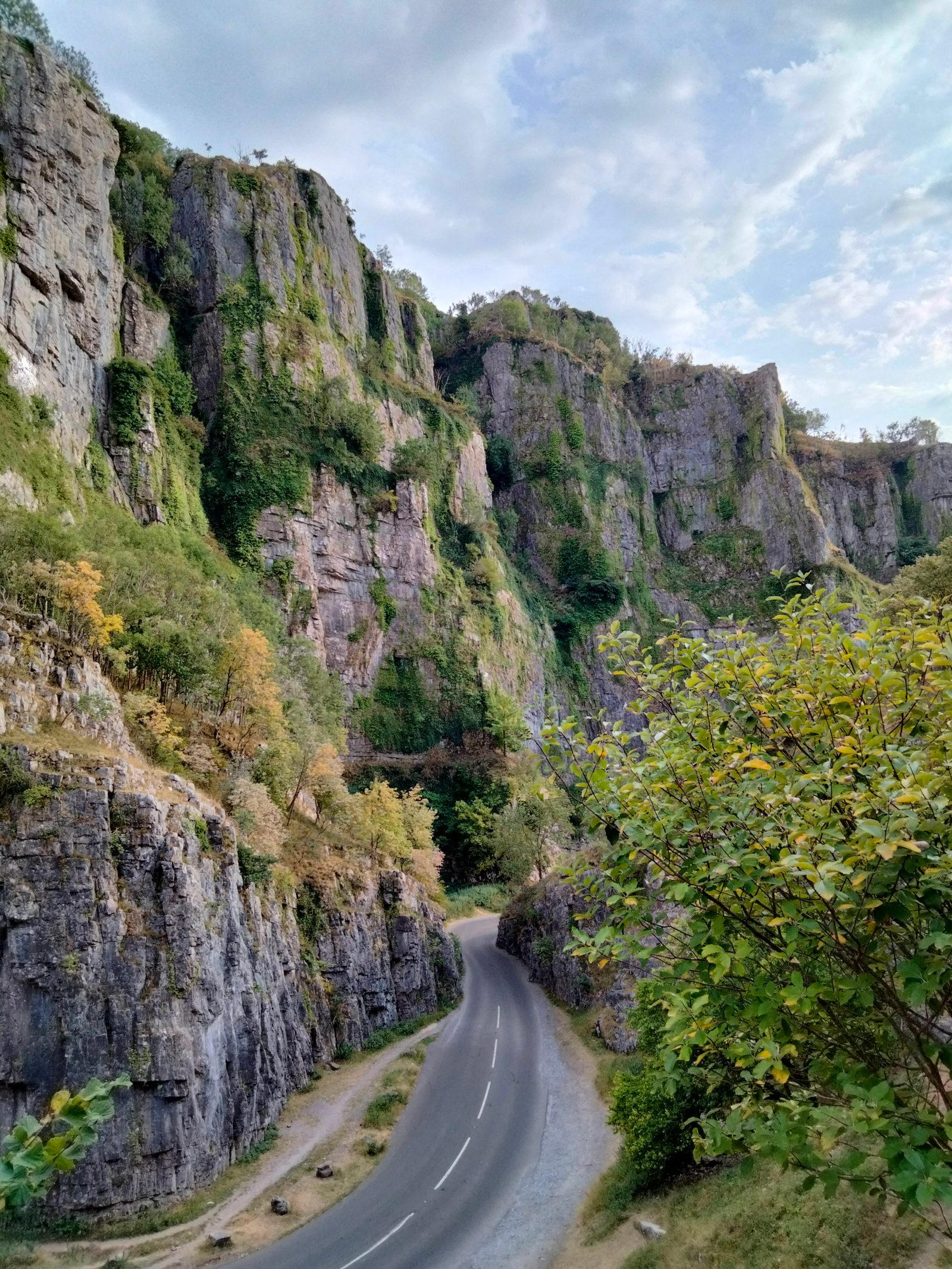 A winding road cuts through a deep, narrow gorge with steep, rocky cliffs covered in greenery on both sides. The sky above is partly cloudy, casting a serene light over the scene. Sparse vegetation is visible along the cliffs and the edge of the road.