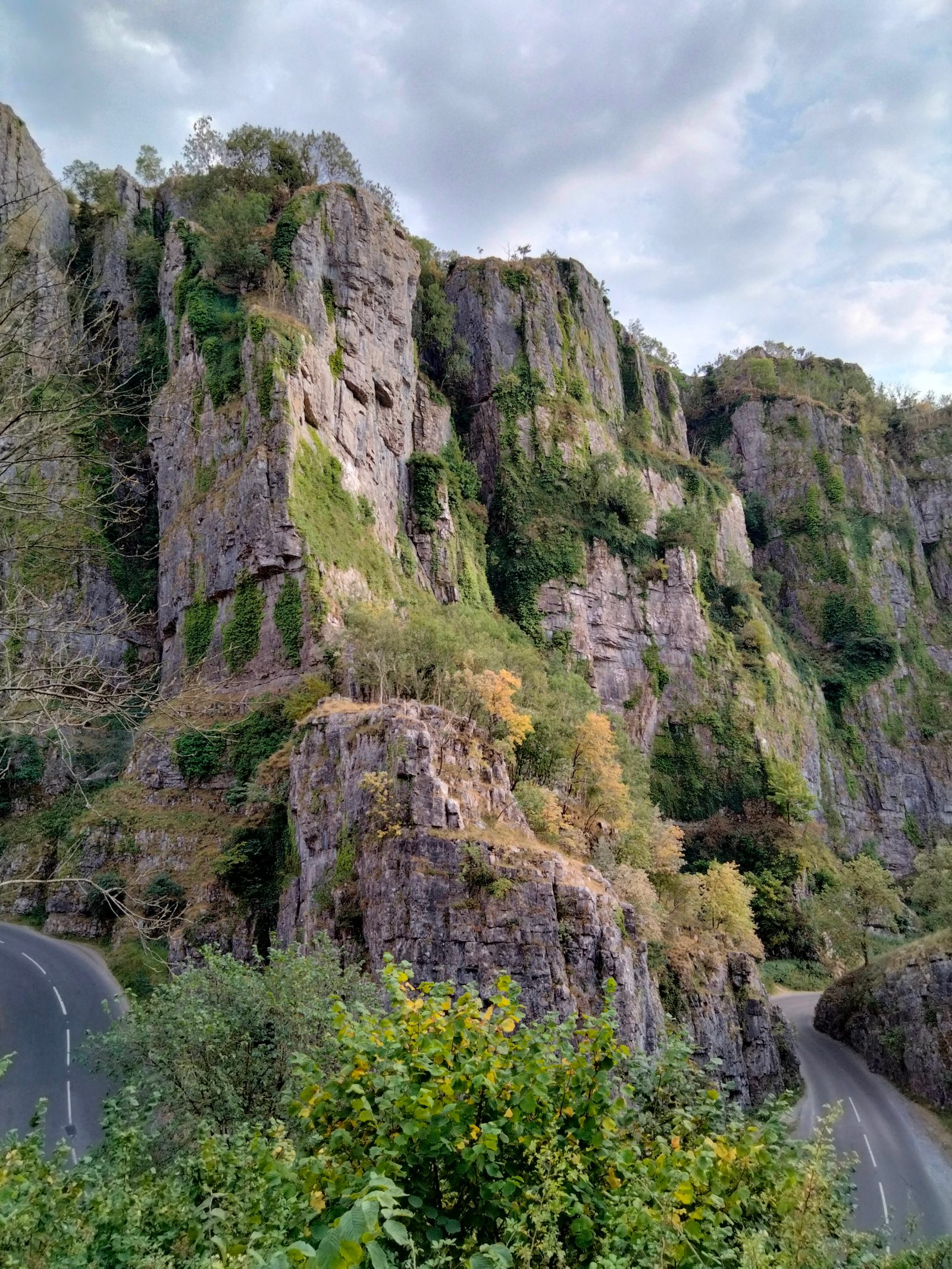 A winding road curves through a dramatic, towering limestone gorge blanketed with lush vegetation. The sheer cliffs rise majestically, showcasing various shades of green and gray. The sky above is overcast, adding a moody feel to the natural landscape.