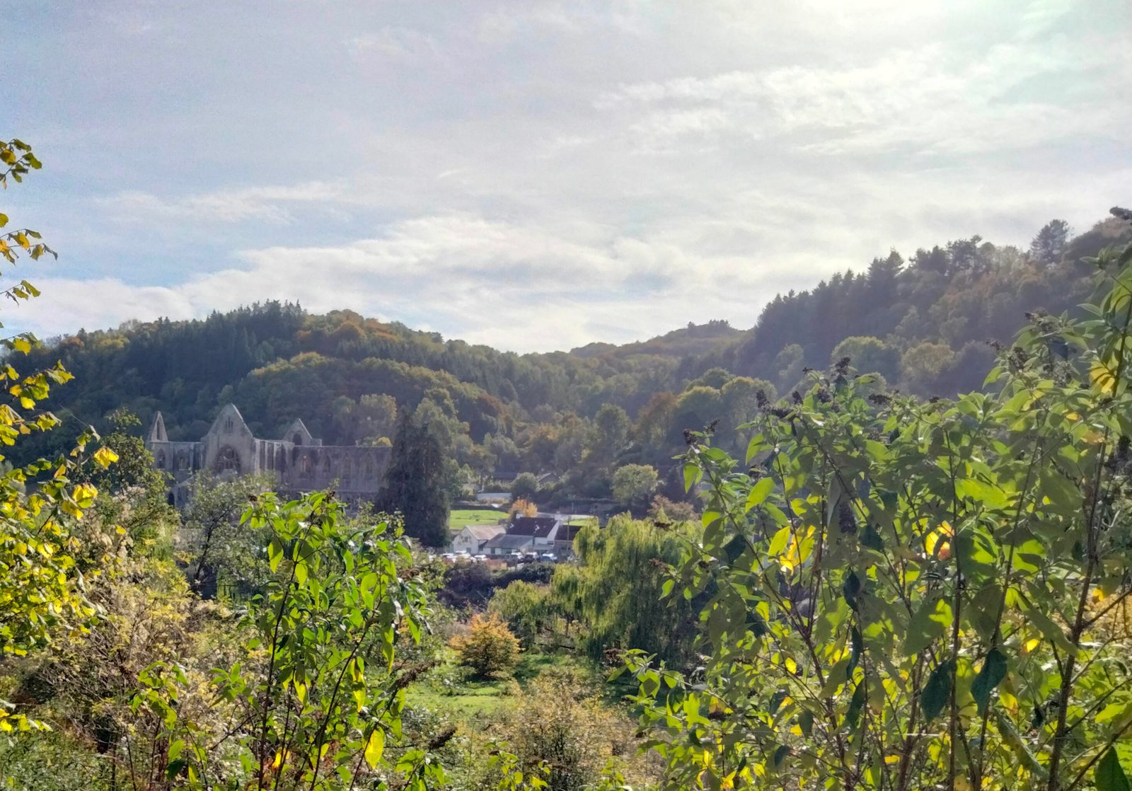 A scenic view of a lush green valley with trees and shrubs in the foreground. In the middle distance, there's a historic abbey surrounded by more greenery and a few scattered buildings. Forested hills rise in the background under a partly cloudy sky.