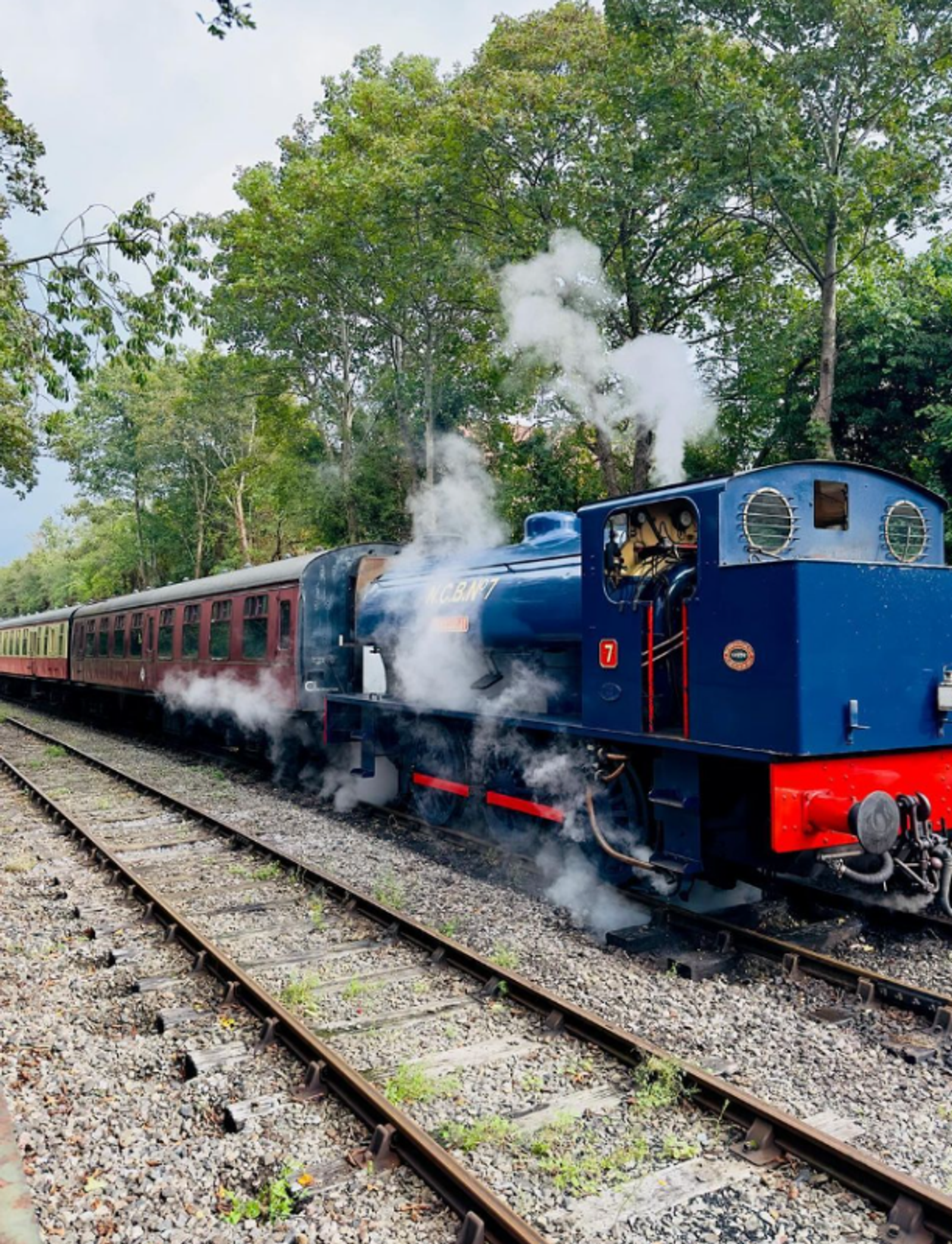 A blue steam train with white smoke billowing from its engine is stationary on railway tracks. The train consists of vintage maroon carriages. Surrounding the train are lush green trees under a cloudy sky.