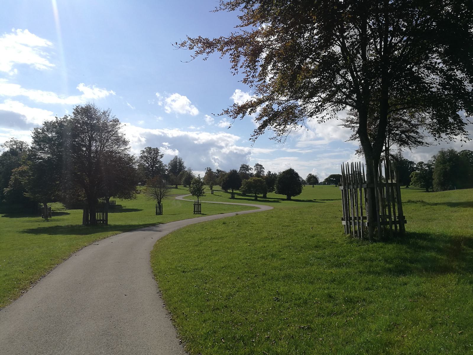 A winding path stretches through a sunlit park with neatly trimmed grass. Trees with protective wooden enclosures line the pathway. Fluffy white clouds scatter across the blue sky, casting gentle shadows on the ground.