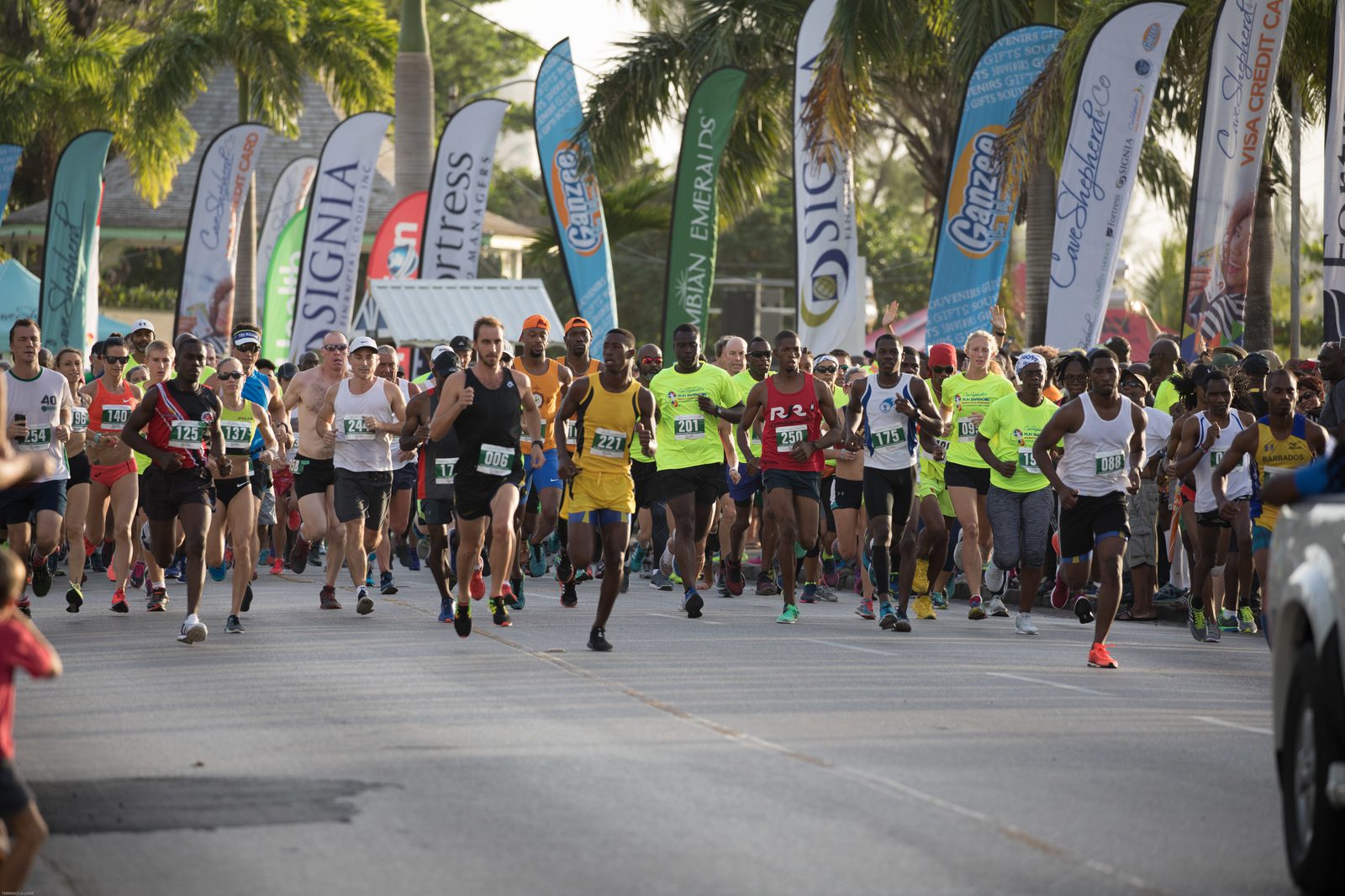 A large group of runners, wearing numbered bibs, competing in a road race. Colorful banners and flags line the street, and spectators can be seen in the background. Palm trees and sunny weather suggest a warm climate.