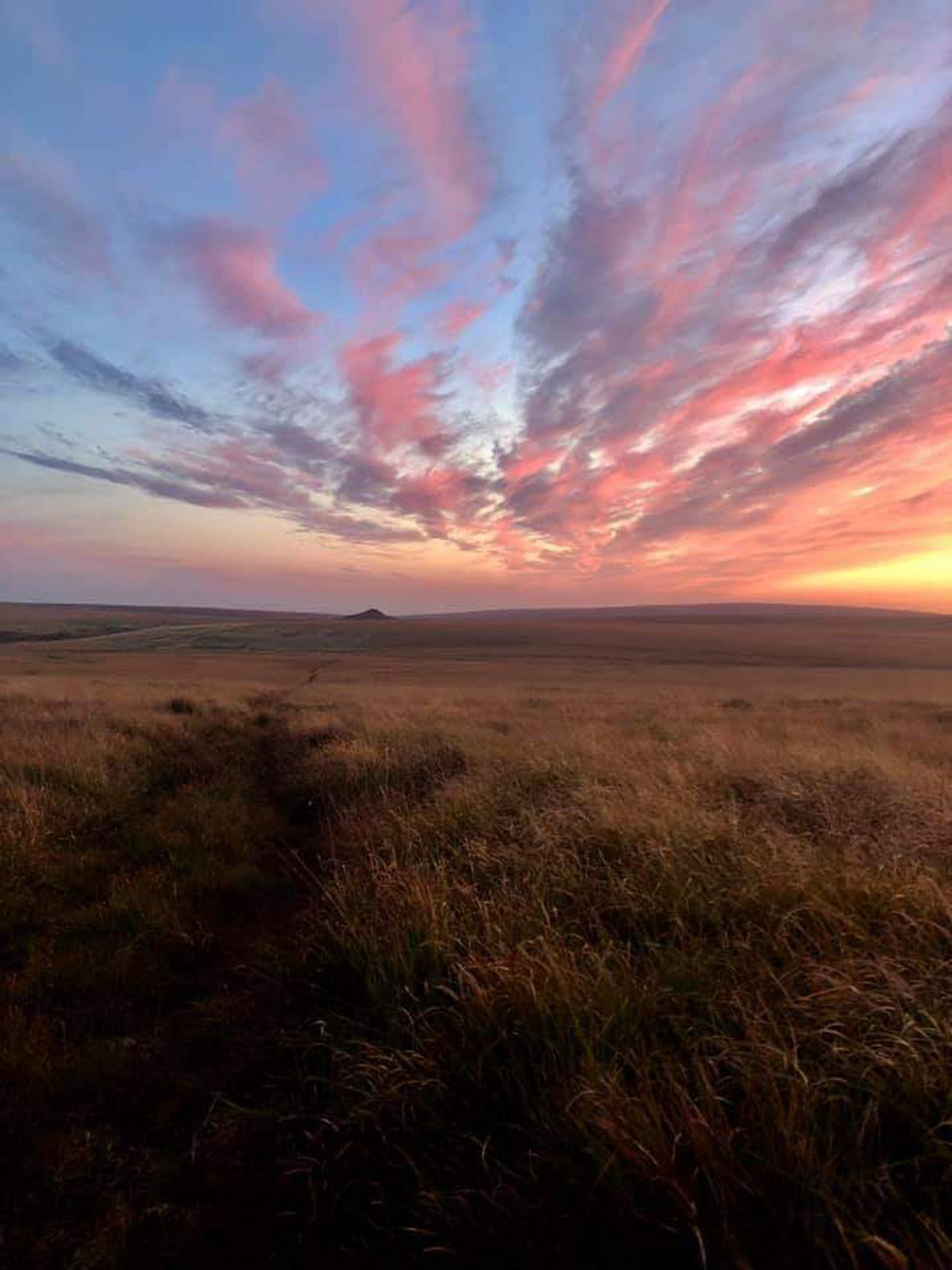 A vast grassy field stretches into the distance under a vibrant, colorful sunset sky. Streaks of pink, purple, and orange clouds fan out across the horizon, casting a warm glow over the landscape. A faint path can be seen winding through the tall grass.