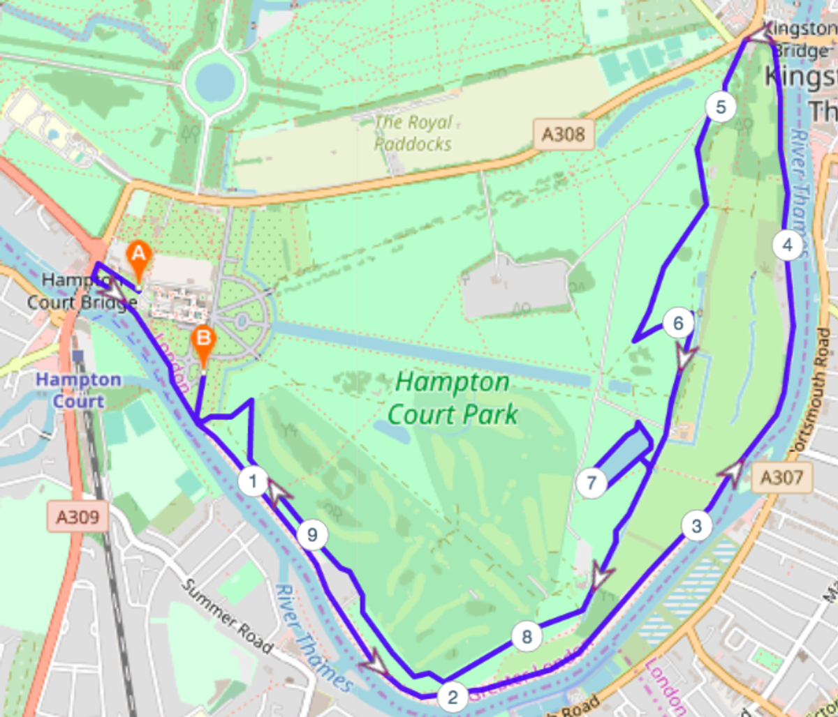 Hampton Court Palace 10k 2026 | Sun 10 May | Book @ Findarace