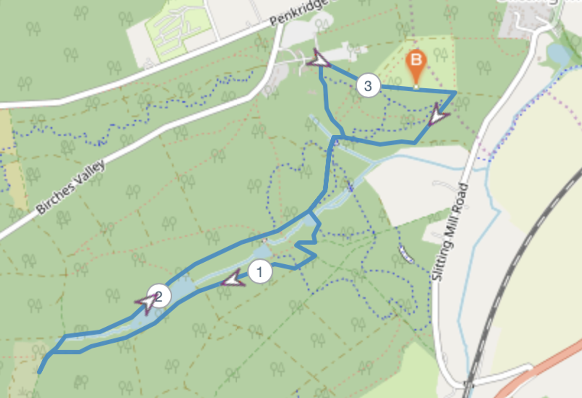 Cannock Chase The Sun 5k, 10k & 10 mile course map