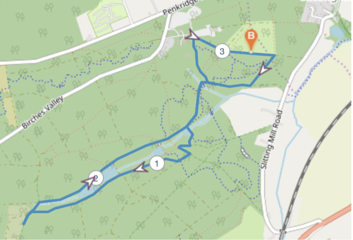 Cannock Chase Running Festival course map