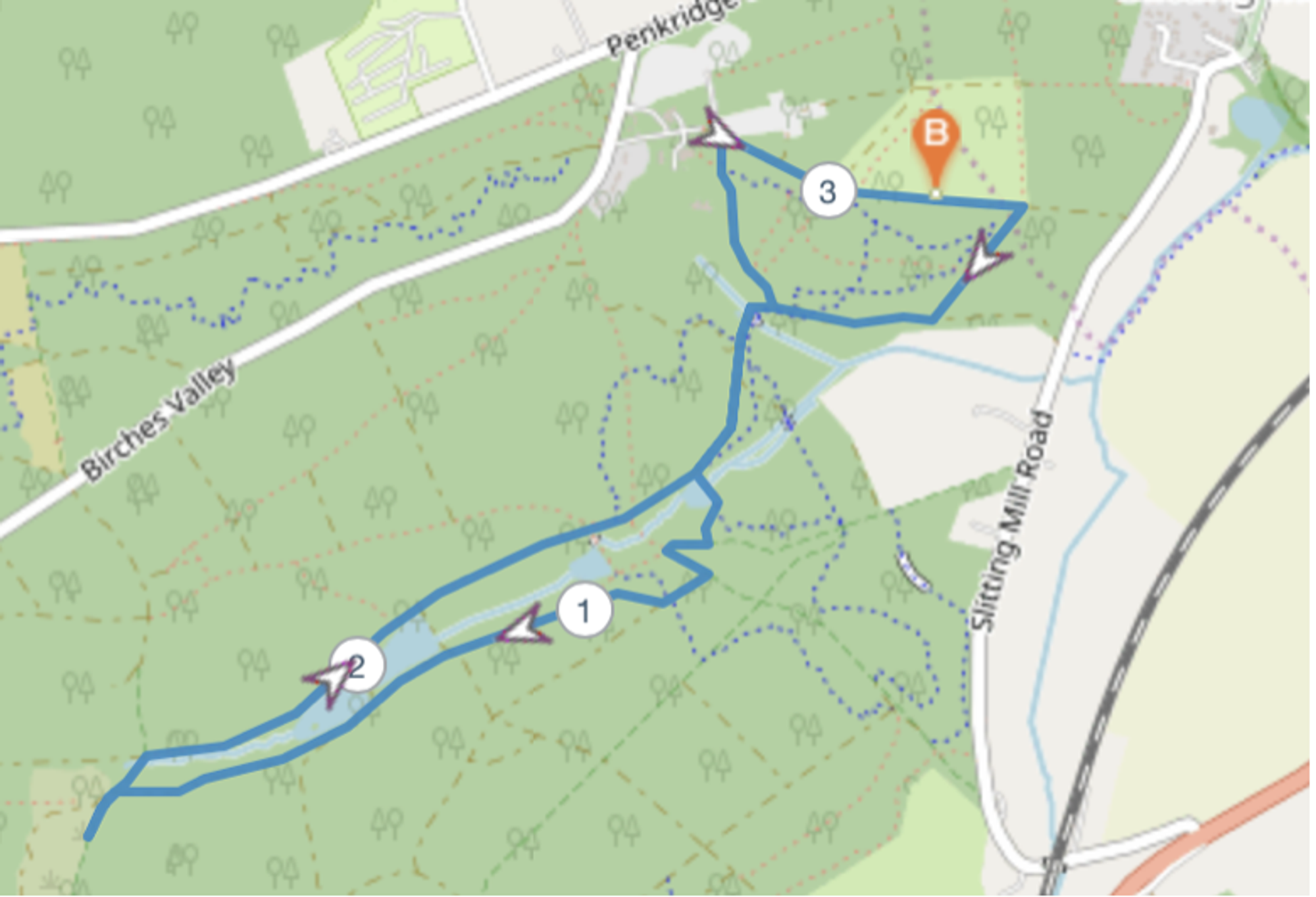 Cannock Chase Running Festival course map