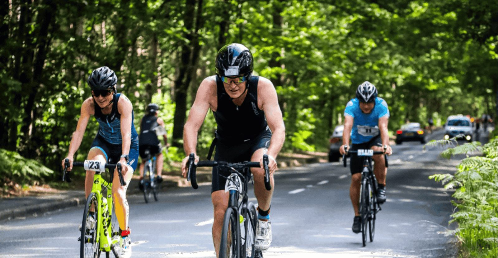 Three cyclists wearing helmets and race numbers ride on a tree-lined road during a cycling event, with sunlight filtering through the leaves. Cars and additional cyclists are visible in the background.