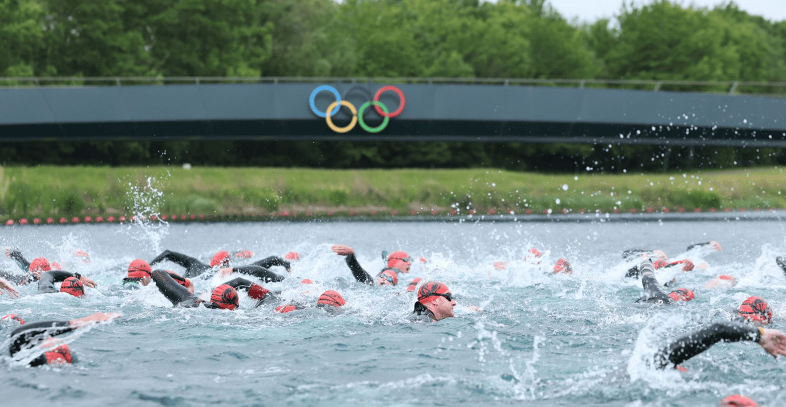 Swimmers wearing red swim caps compete in an open water race, surrounded by splashing water, with the Olympic rings displayed on a bridge in the background and green trees behind it.