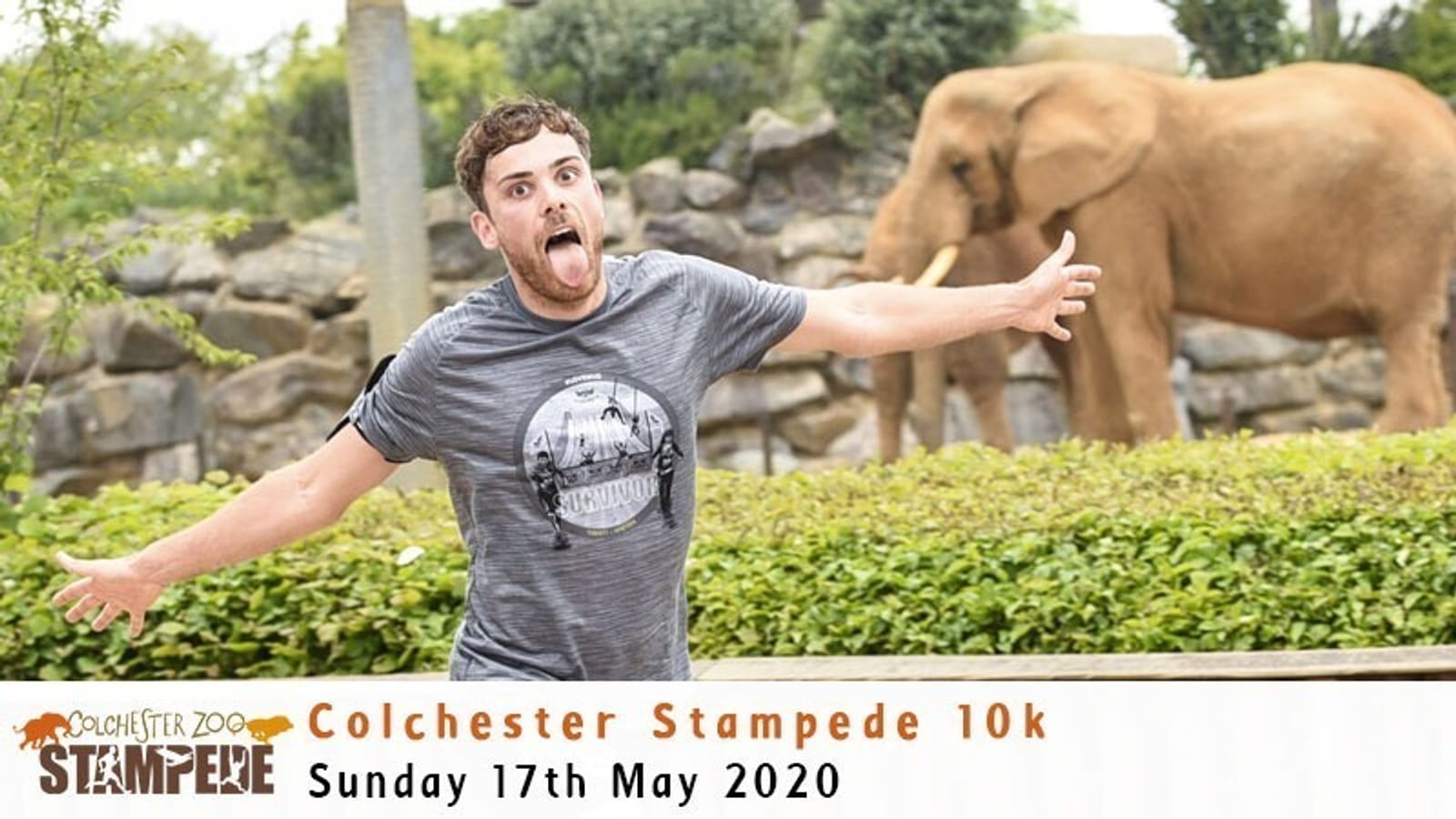 A man wearing a grey t-shirt runs with a jubilant expression, sticking out his tongue during the Colchester Stampede 10k event at Colchester Zoo. An elephant is seen behind him near some rocks. The event date, Sunday 17th May 2020, is displayed at the bottom.