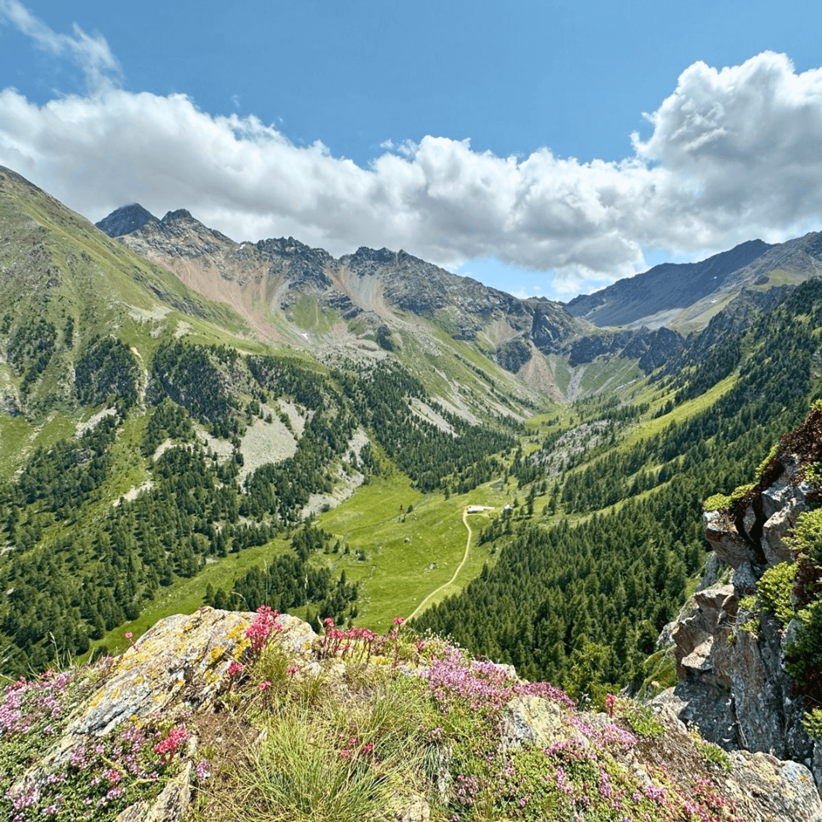 Mountain valley with green slopes, scattered pine trees, and a winding path. Pink wildflowers bloom in the foreground, with rugged peaks and partly cloudy blue sky in the background.