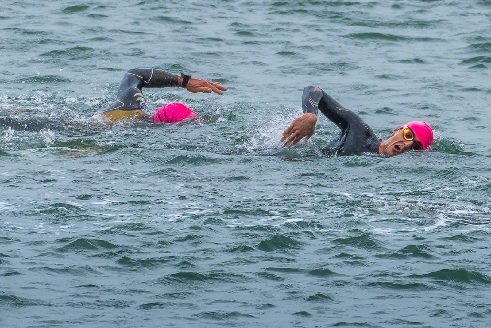 Active Life Pier to Pier Swim event image